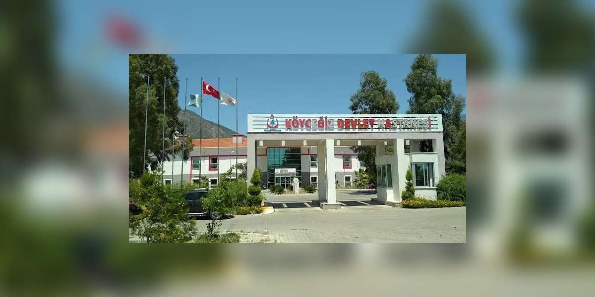 Köyceğiz Devlet Hastanesi Randevusu Videosu Sosyal Medyada Viral Oldu