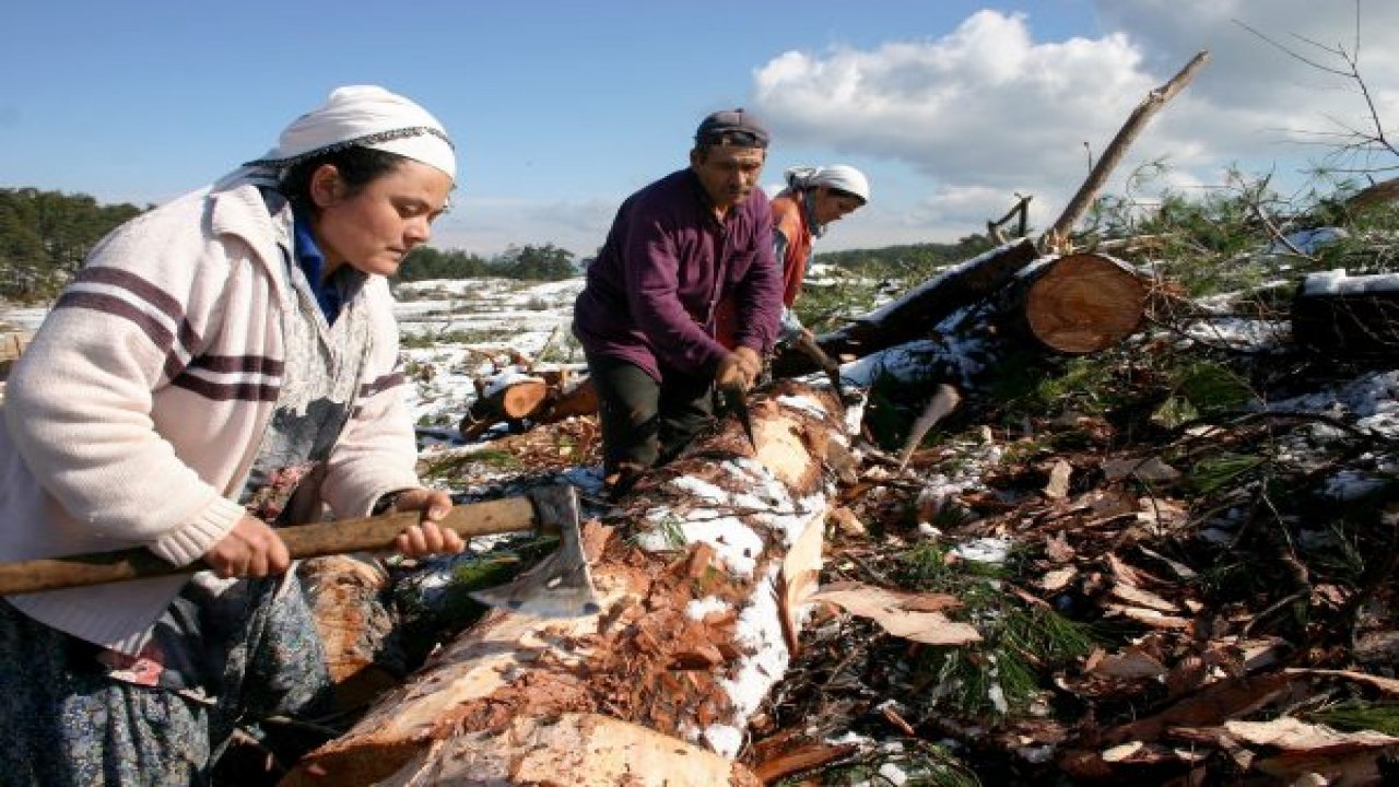 Orman Köylüsüne 85 Milyon Lira Destek