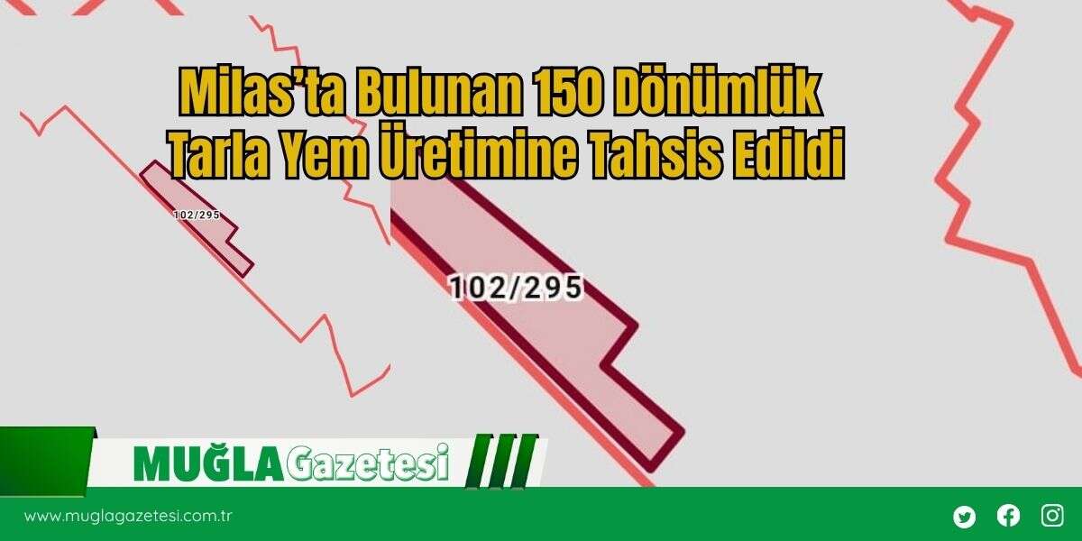 Milas’ta Bulunan 150 Dönümlük Tarla Yem Üretimine Tahsis Edildi