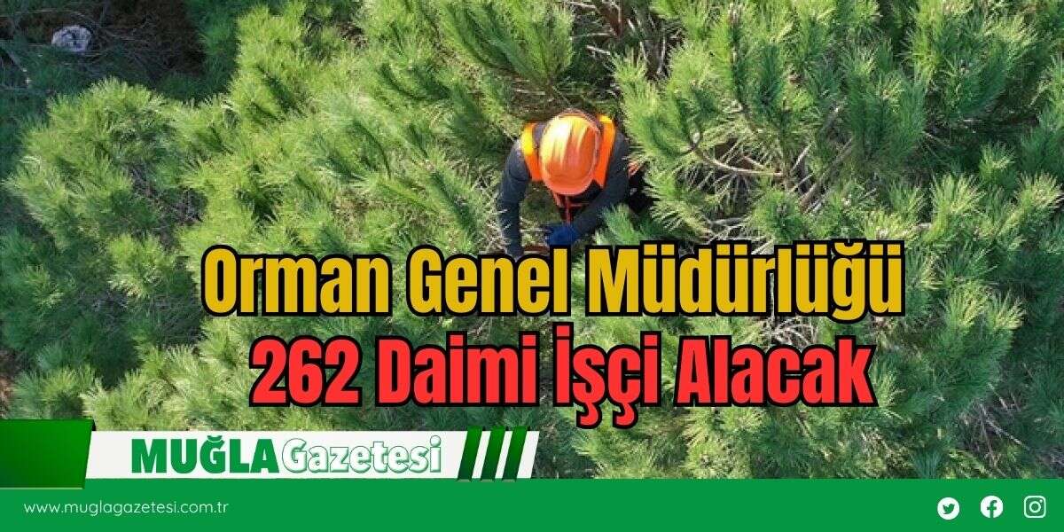 Orman Genel Müdürlüğü 262 Daimi İşçi Alacak