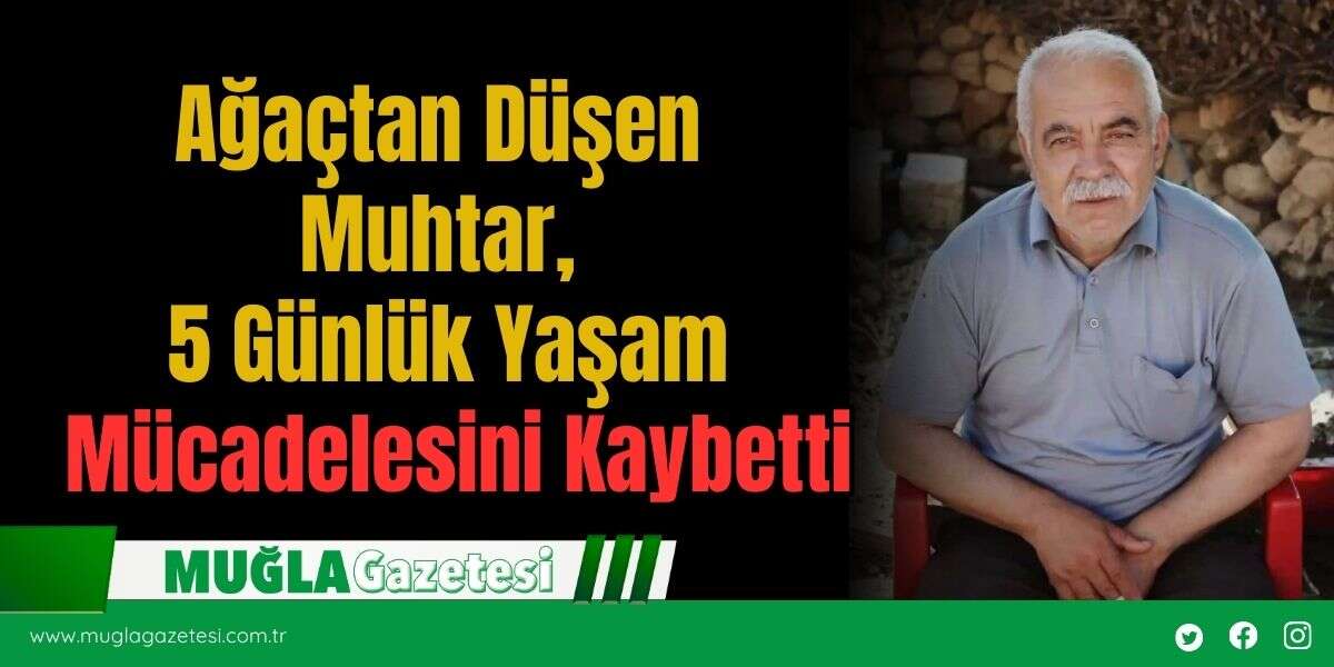 Ağaçtan Düşen Muhtar, 5 Günlük Yaşam Mücadelesini Kaybetti