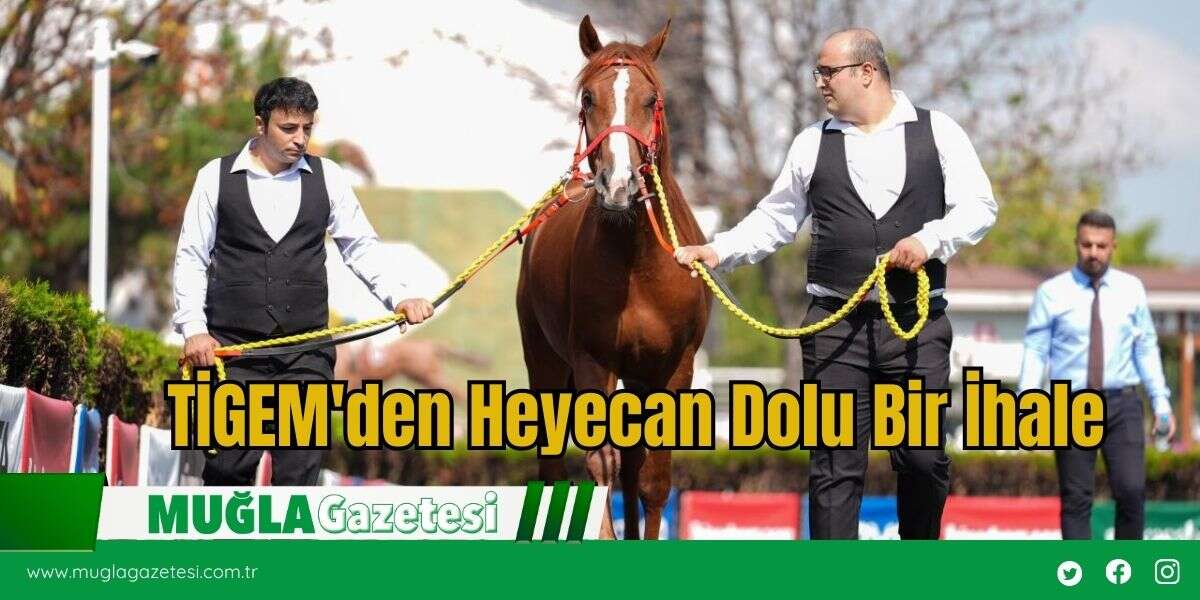 TİGEM'den Heyecan Dolu Bir İhale