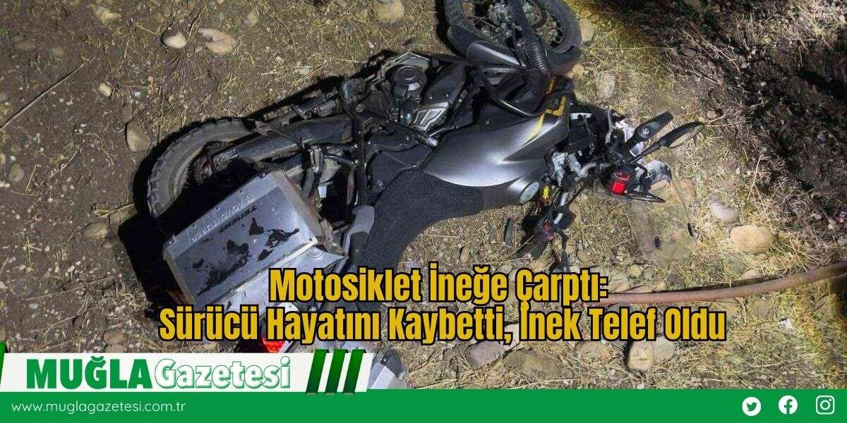 Motosiklet İneğe Çarptı: Sürücü Hayatını Kaybetti, İnek Telef Oldu