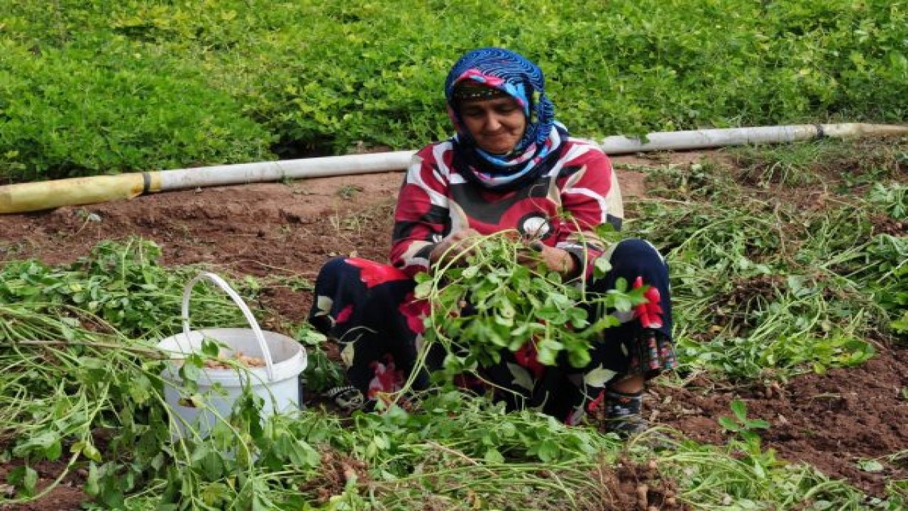 Yerel değerlere coğrafi işaret başvurusu yapıldı