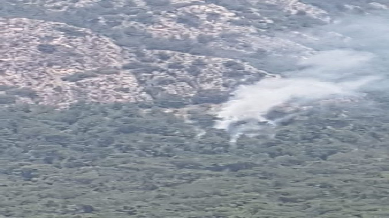 Muğla'da orman yangını