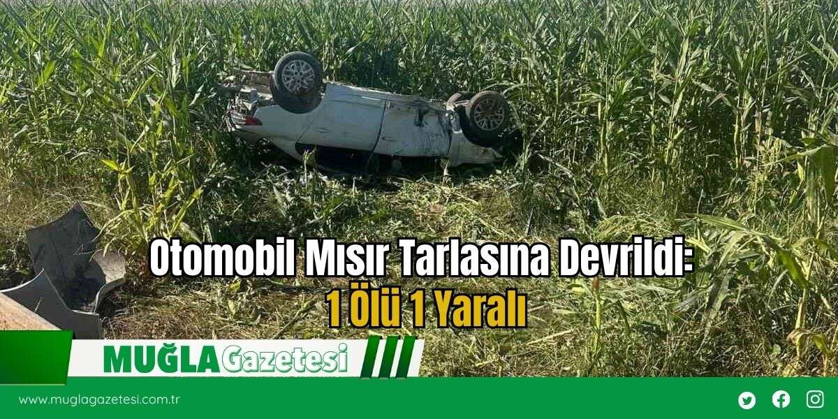 Otomobil Mısır Tarlasına Devrildi: 1 Ölü 1 Yaralı