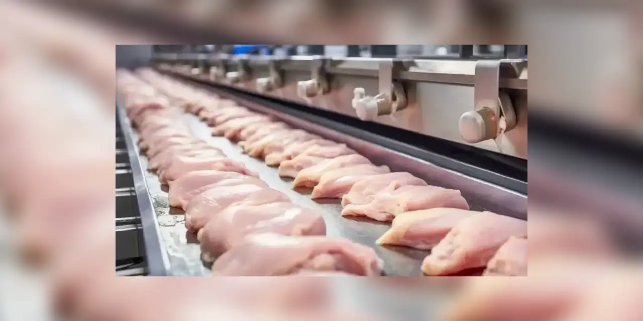 Market Raflarındaki Dev Markalara Rekor Ceza! İleri Tarihli Fiyat Listesi Yasaklandı