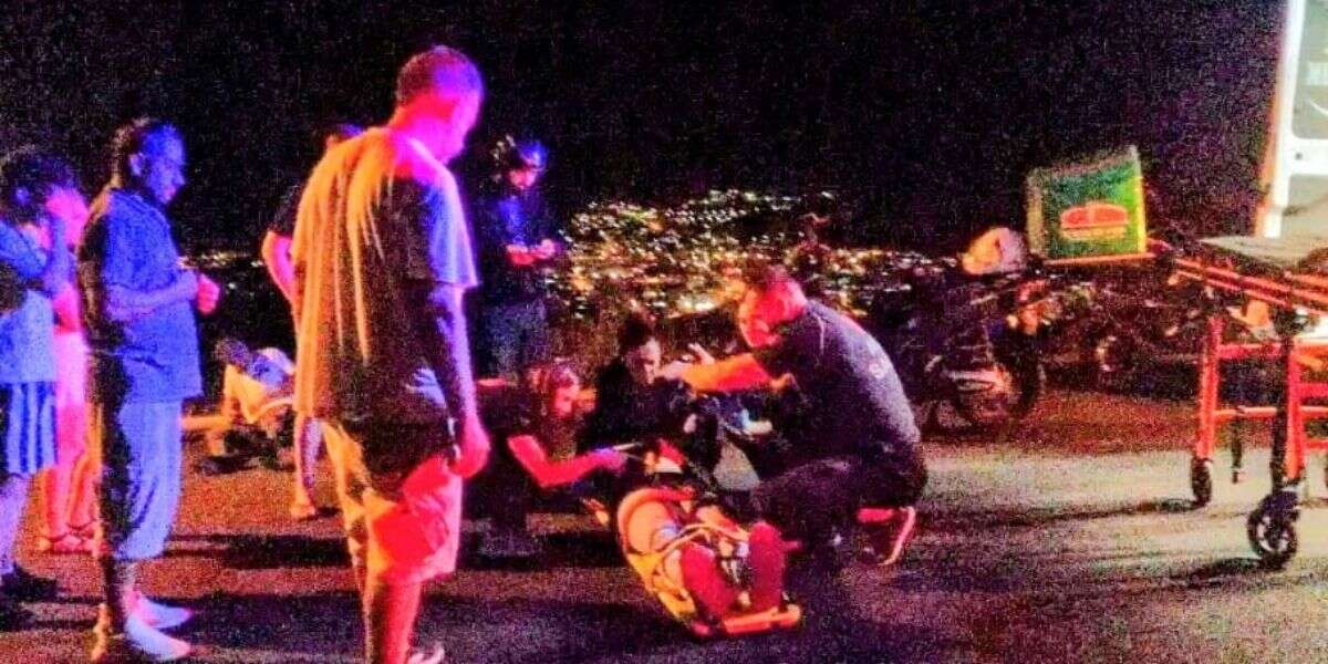 Muğla'da Motosiklet Yaban Domuzuna Çarptı, 2 Yaralı