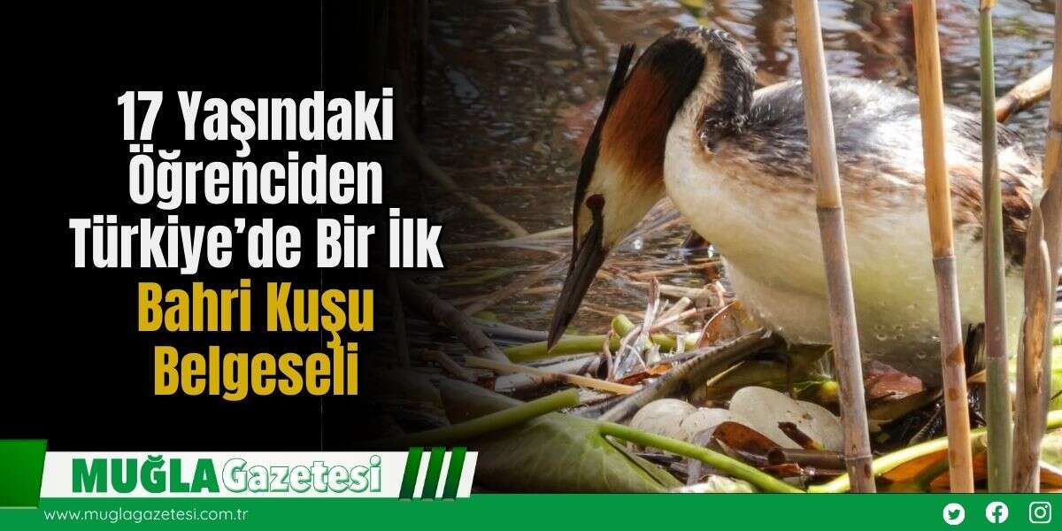 17 Yaşındaki Öğrenciden Türkiye’de Bir İlk: Bahri Kuşu Belgeseli