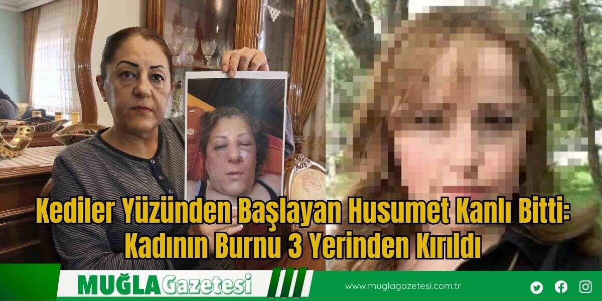 Kediler Yüzünden Başlayan Husumet Kanlı Bitti: Kadının Burnu 3 Yerinden Kırıldı