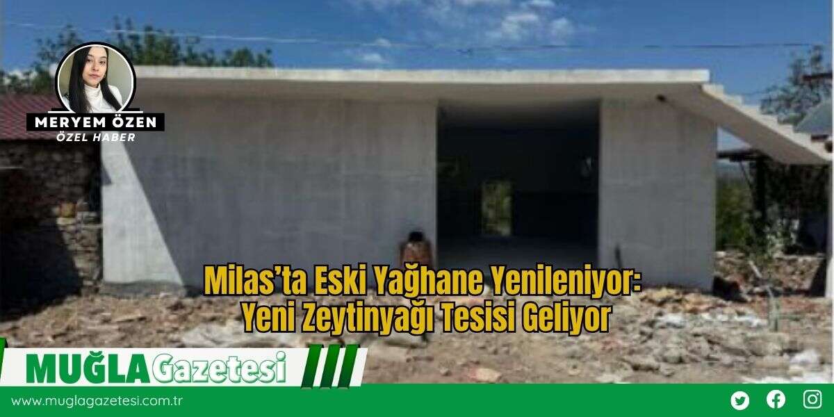 Milas’ta Eski Yağhane Yenileniyor: Yeni Zeytinyağı Tesisi Geliyor