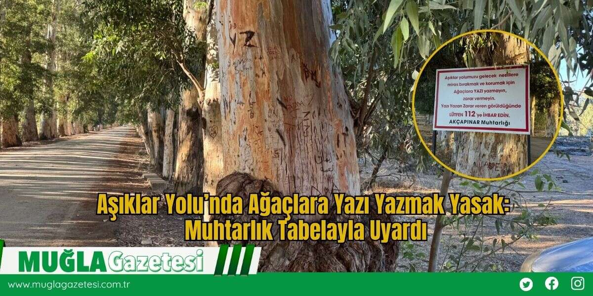 Aşıklar Yolu’nda Ağaçlara Yazı Yazmak Yasak: Muhtarlık Tabelayla Uyardı