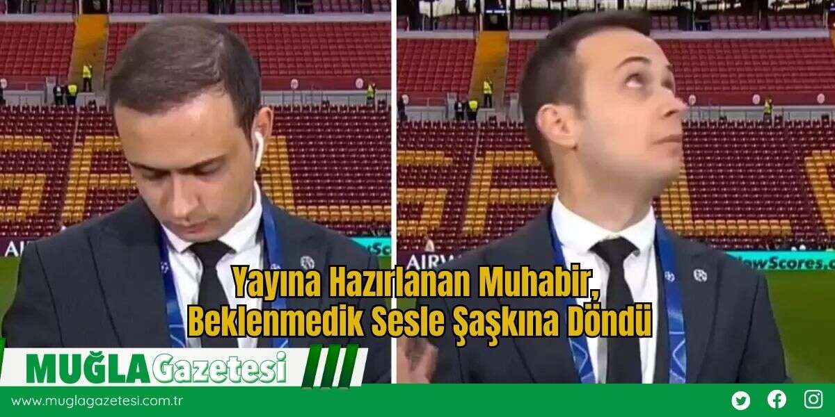Yayına Hazırlanan Muhabir, Beklenmedik Sesle Şaşkına Döndü