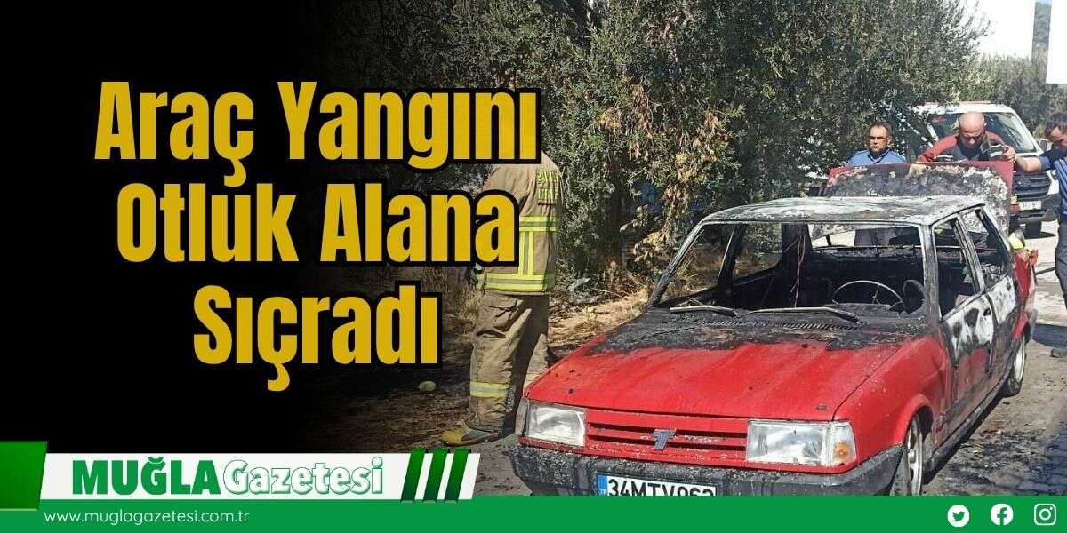 Araç Yangını Otluk Alana Sıçradı