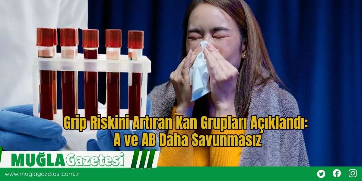 Grip Riskini Artıran Kan Grupları Açıklandı: A ve AB Daha Savunmasız