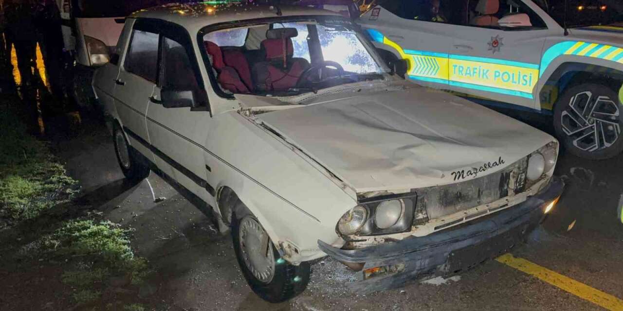 Otomobilin Çarptığı Çoban Hayatını Kaybetti