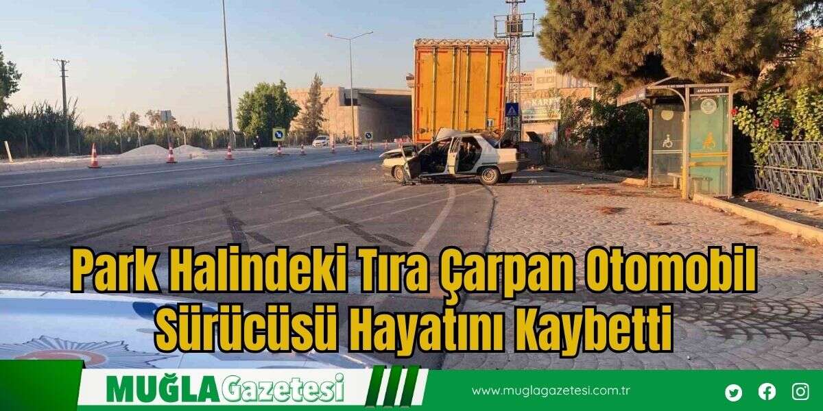 Park Halindeki Tıra Çarpan Otomobil Sürücüsü Hayatını Kaybetti