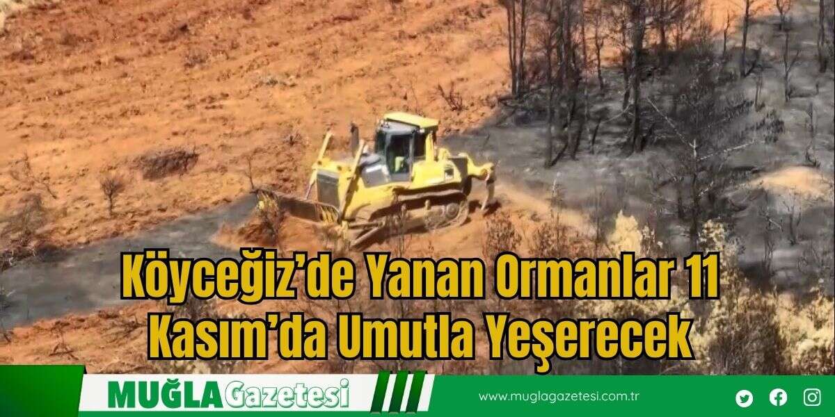 Köyceğiz’de Yanan Ormanlar 11 Kasım’da Umutla Yeşerecek