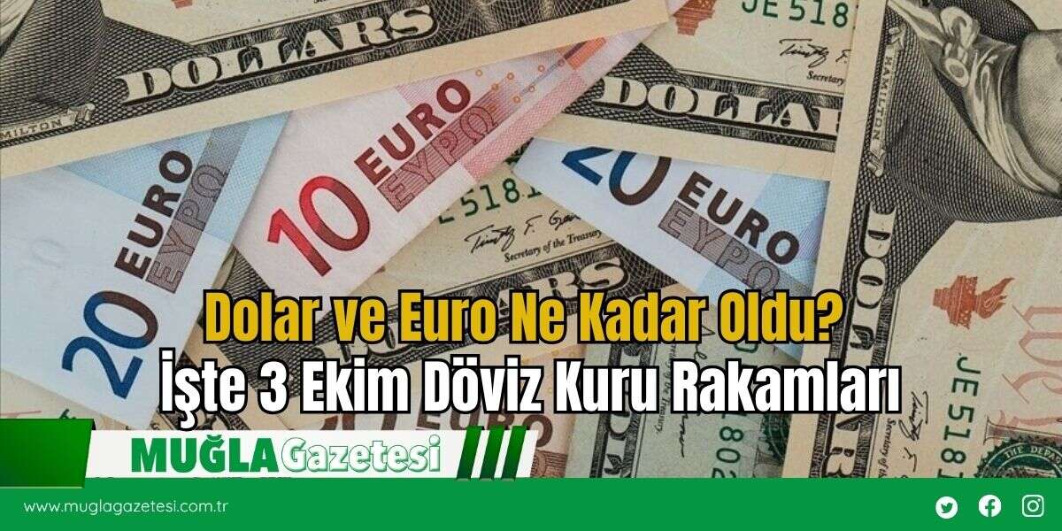 Dolar ve Euro Ne Kadar Oldu? İşte 3 Ekim Döviz Kuru Rakamları