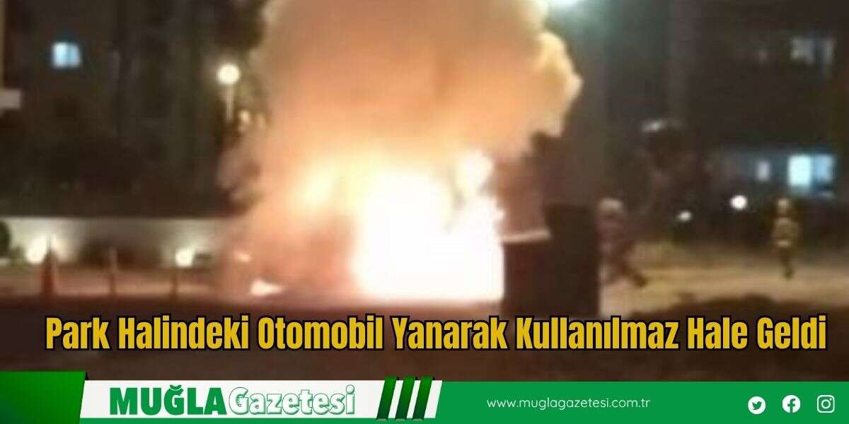 Park Halindeki Otomobil Yanarak Kullanılmaz Hale Geldi