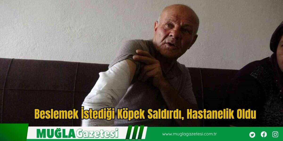 Beslemek İstediği Köpek Saldırdı, Hastanelik Oldu