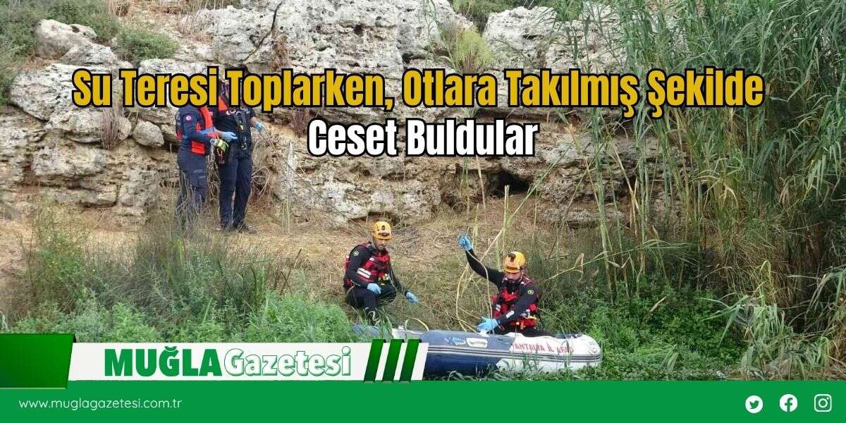 Su Teresi Toplarken, Otlara Takılmış Şekilde Ceset Buldular