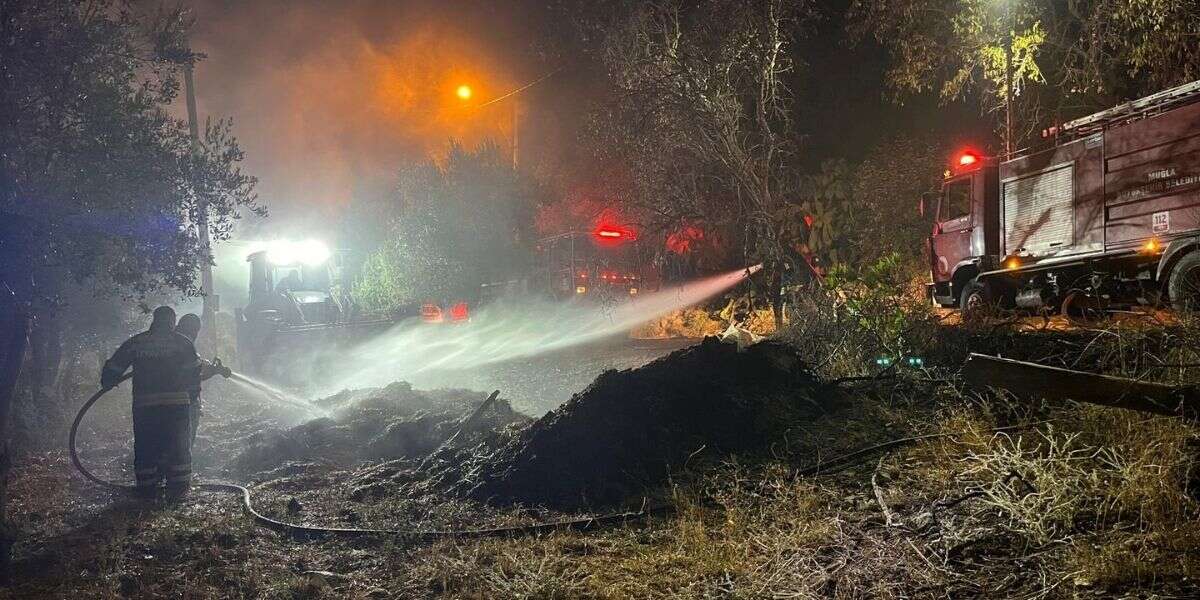Muğla'da Ahırda Çıkan Yangında 6 Koyun Telef Oldu