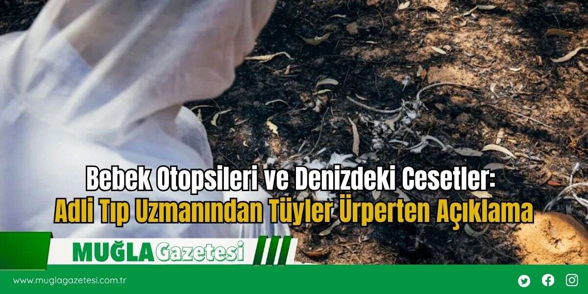 Bebek Otopsileri ve Denizdeki Cesetler: Adli Tıp Uzmanından Tüyler Ürperten Açıklama