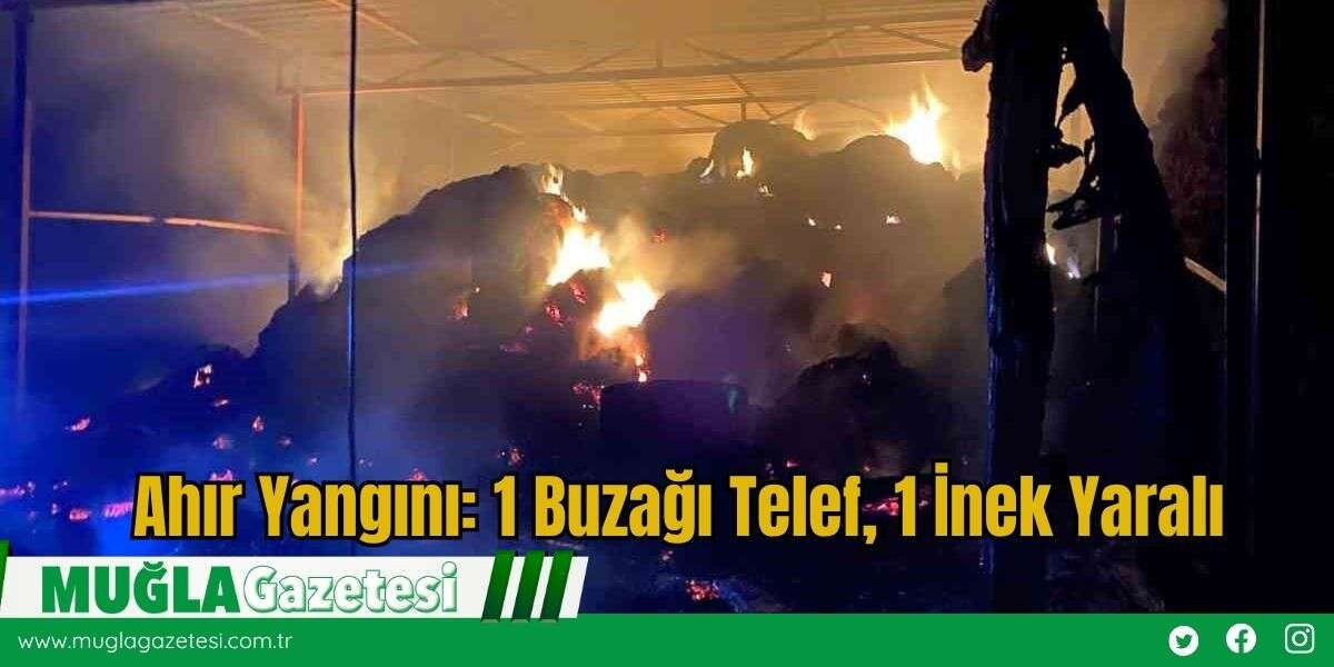 Ahır Yangını: 1 Buzağı Telef, 1 İnek Yaralı