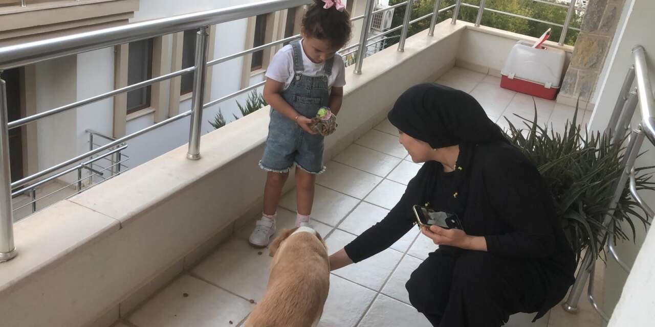 Datça'nın Minik Kahramanı: 4 Yaşındaki Gökçe Erdoğan, "Lilo"yu Kendi Elleriyle Besledi