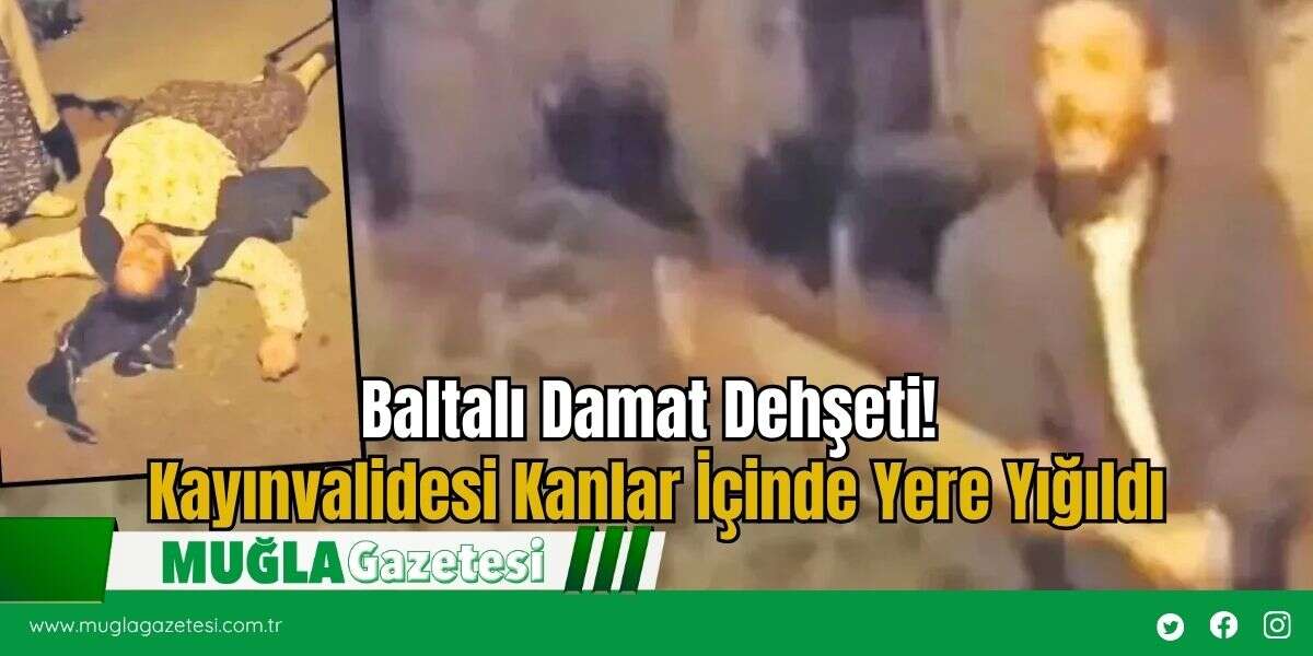 Baltalı Damat Dehşeti! Kayınvalidesi Kanlar İçinde Yere Yığıldı
