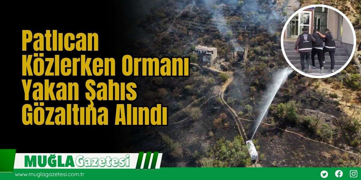 Patlıcan Közlerken Ormanı Yakan Şahıs Gözaltına Alındı