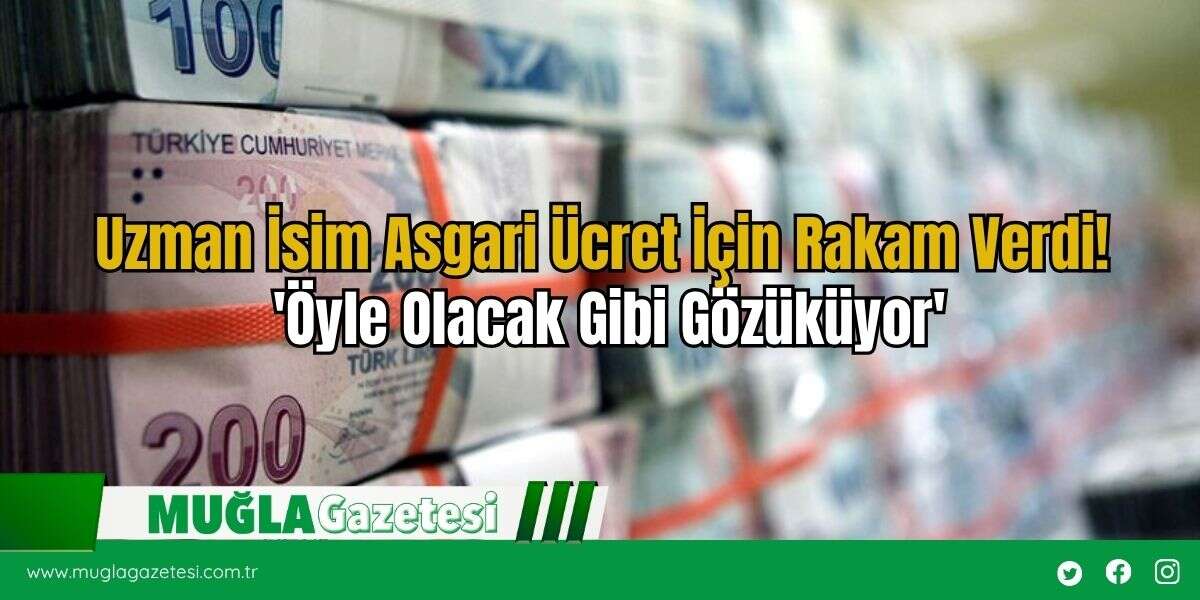 Uzman İsim Asgari Ücret İçin Rakam Verdi! 'Öyle Olacak Gibi Gözüküyor'