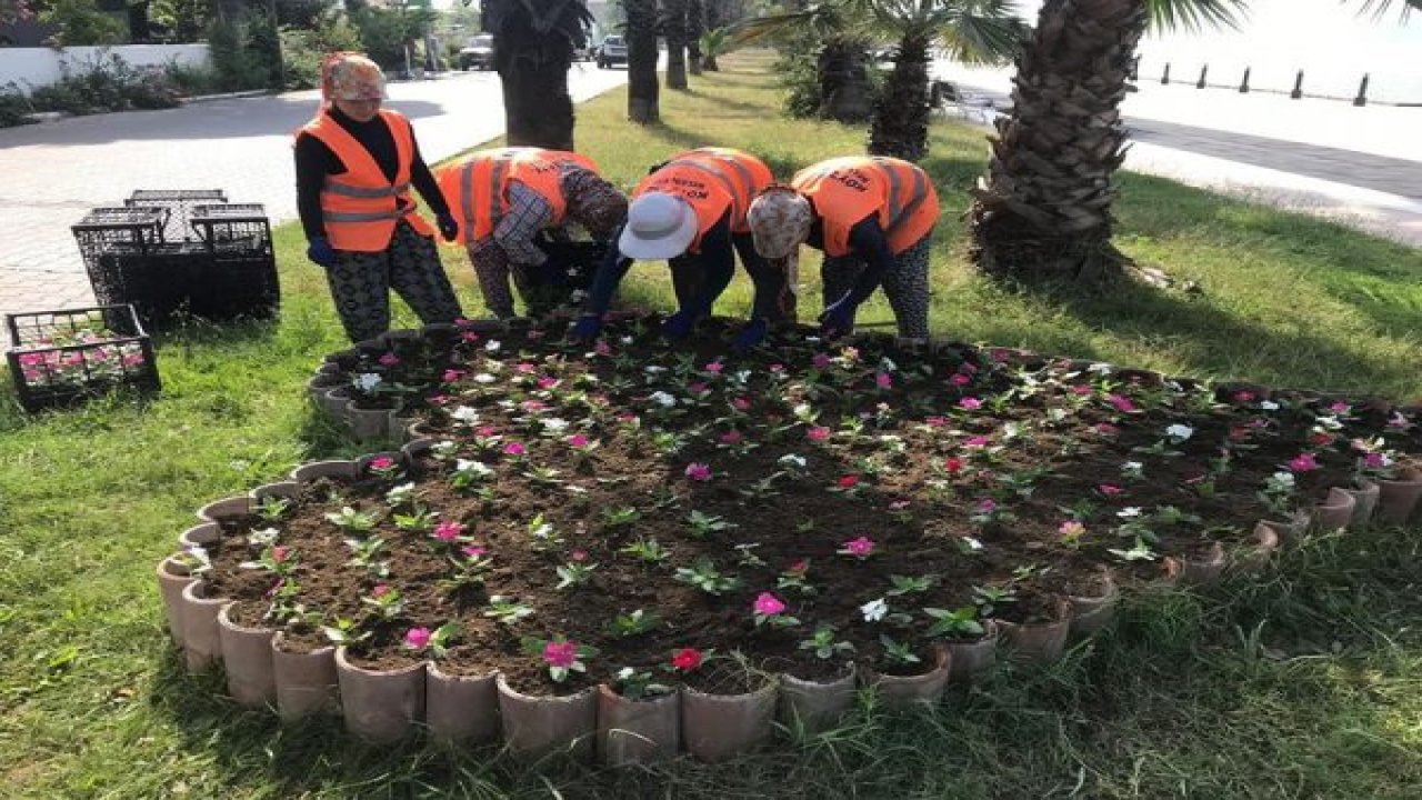 Mevsimlik çiçek dikimi