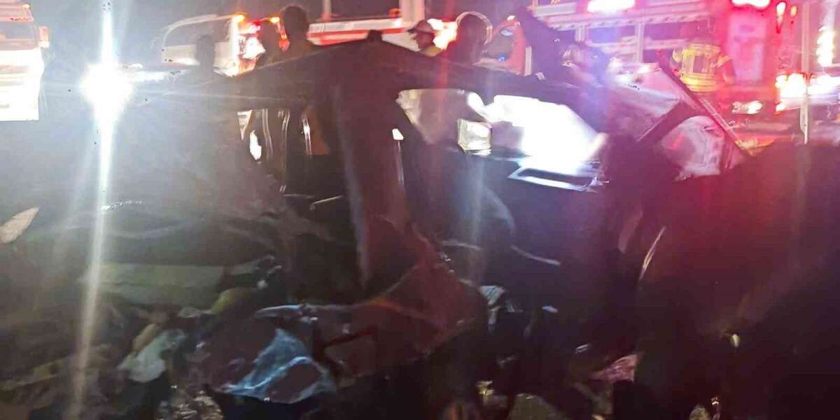 Çarpışma Can Aldı: 1 Ölü, 4 Yaralı ve 2 Köpek Telef Oldu