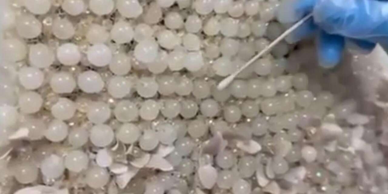 Gelinliğe İşlenmiş Zehir: Görenler Gözlerine İnanamadı