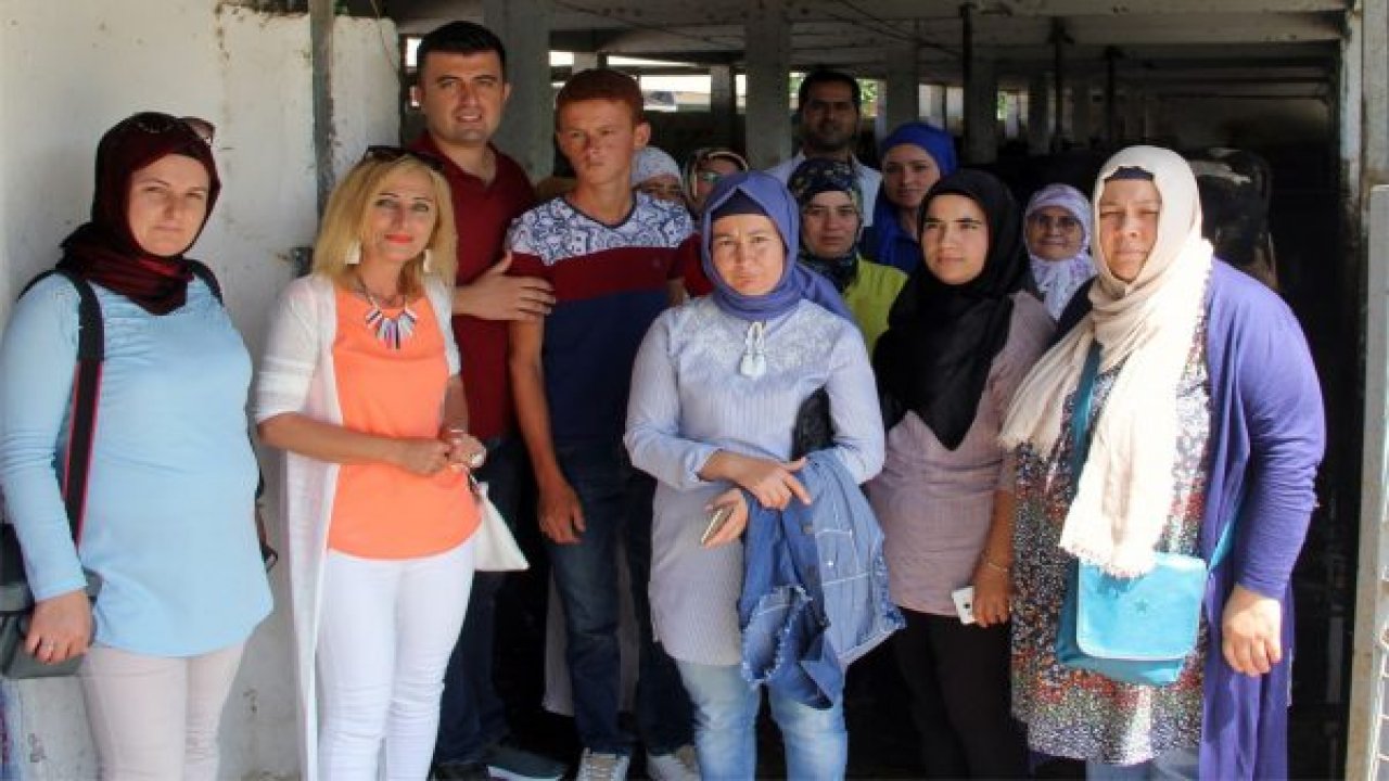 “Sürü Yönetimi Elemanı” kursu