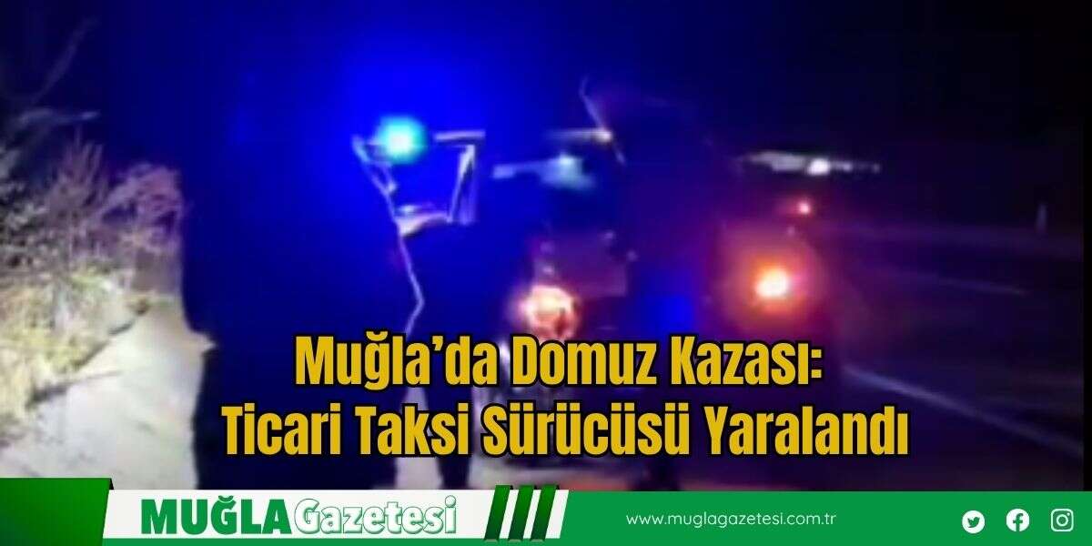 Muğla’da Domuz Kazası: Ticari Taksi Sürücüsü Yaralandı