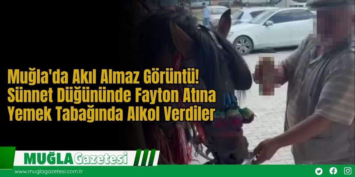 Muğla'da Akıl Almaz Görüntü! Sünnet Düğününde Fayton Atına Yemek Tabağında Alkol Verdiler