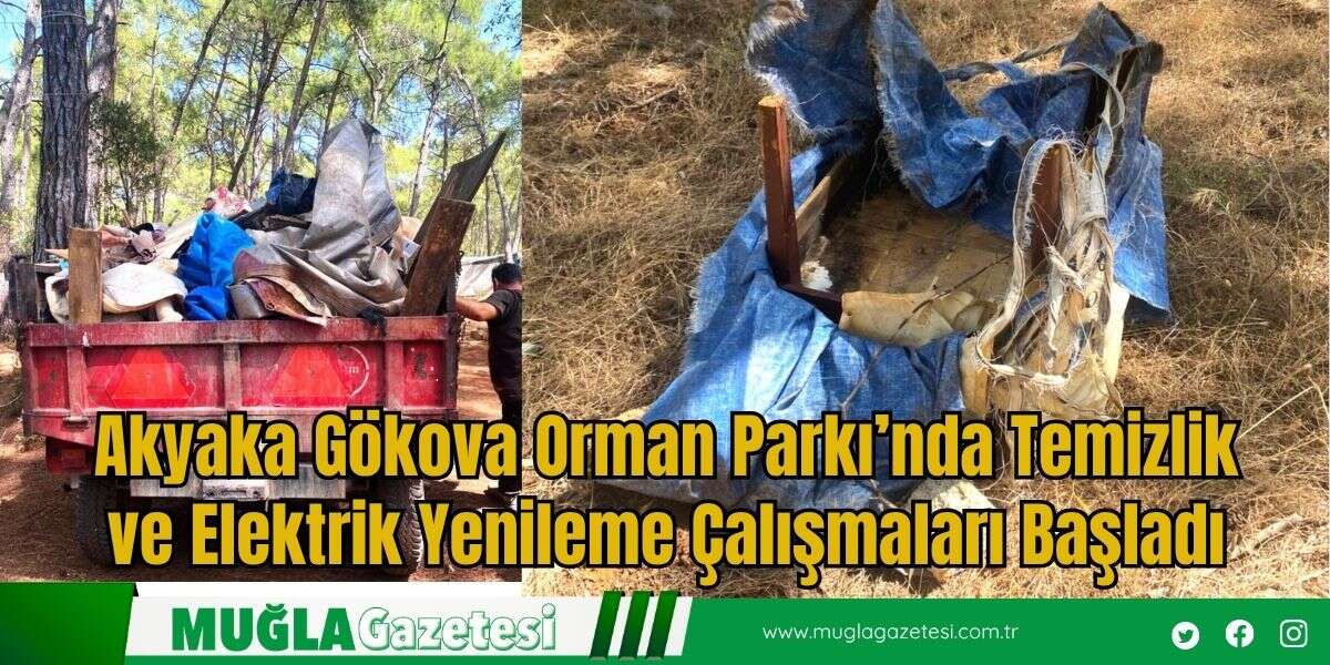 Akyaka Gökova Orman Parkı’nda Temizlik ve Elektrik Yenileme Çalışmaları Başladı
