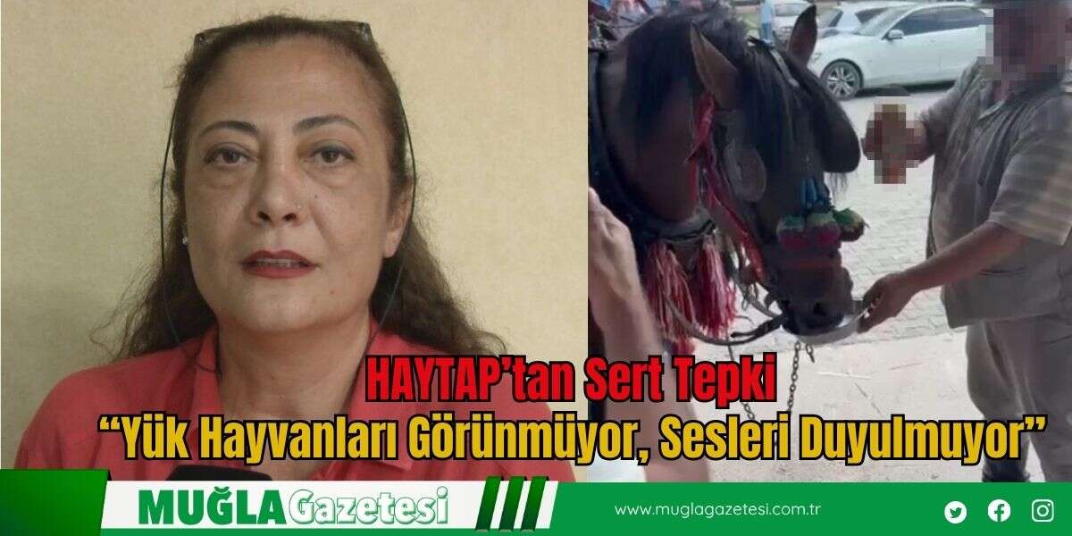 HAYTAP’tan Sert Tepki: “Yük Hayvanları Görünmüyor, Sesleri Duyulmuyor”
