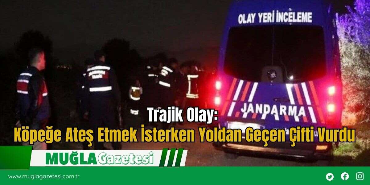 Trajik Olay: Köpeğe Ateş Etmek İsterken Yoldan Geçen Çifti Vurdu