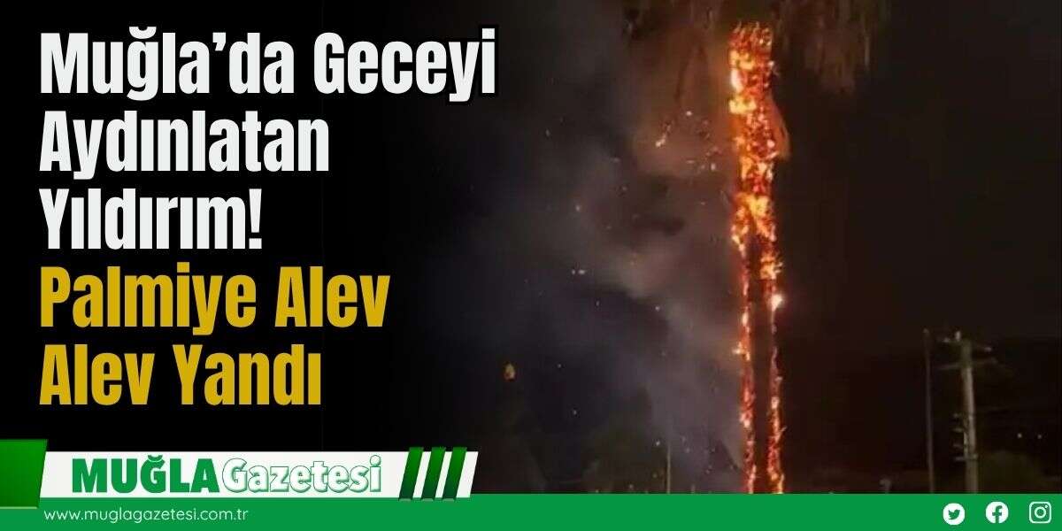 Muğla’da Geceyi Aydınlatan Yıldırım! Palmiye Alev Alev Yandı