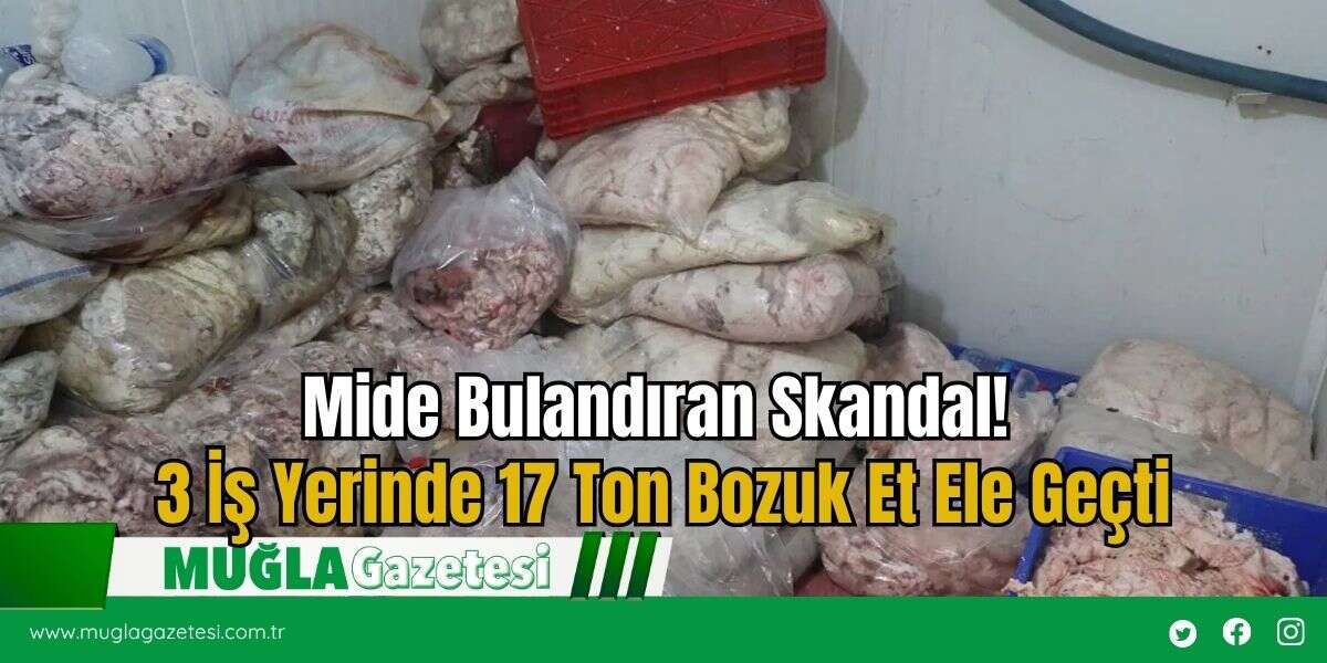Mide Bulandıran Skandal! 3 İş Yerinde 17 Ton Bozuk Et Ele Geçti