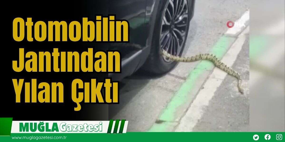 Otomobilin Jantından Yılan Çıktı