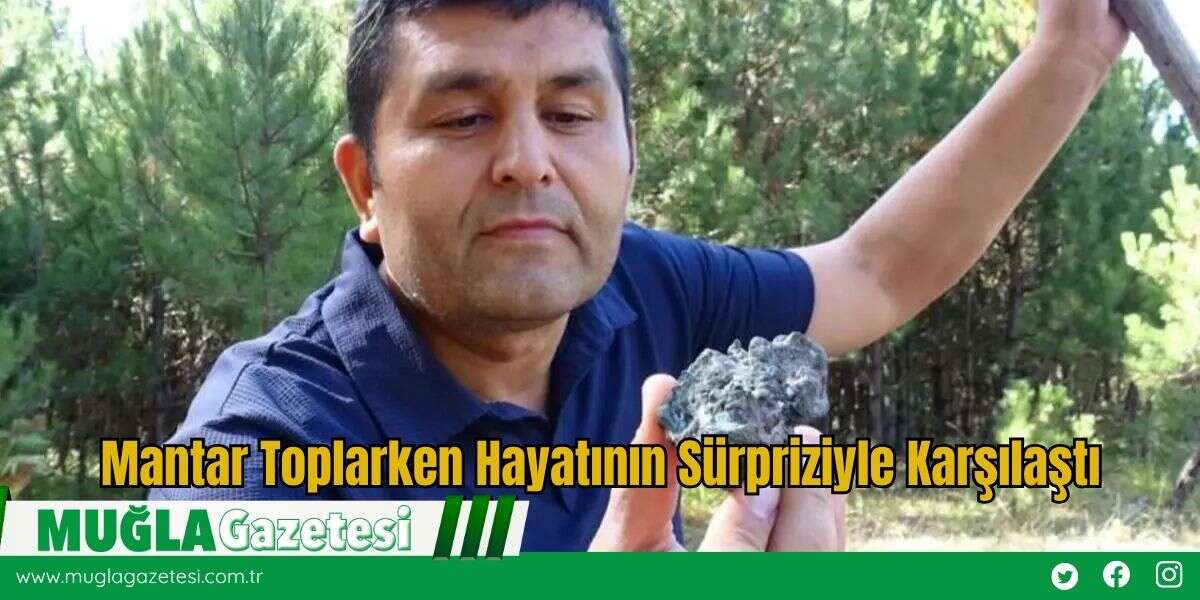 Mantar Toplarken Hayatının Sürpriziyle Karşılaştı