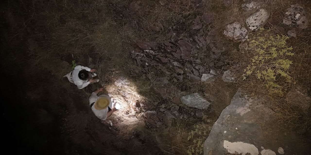 Muğla’da Zorlu Arazide Kabus Dolu Gece: İki Kişi Mahsur Kaldı