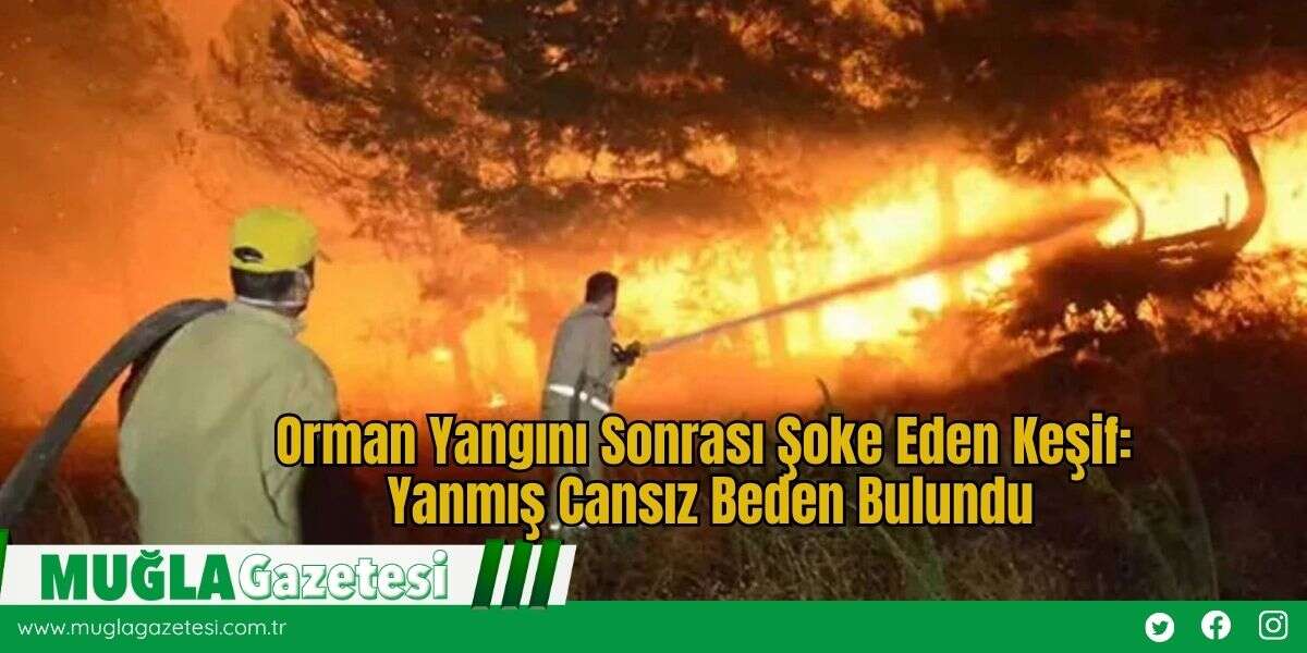 Orman Yangını Sonrası Şoke Eden Keşif: Yanmış Cansız Beden Bulundu