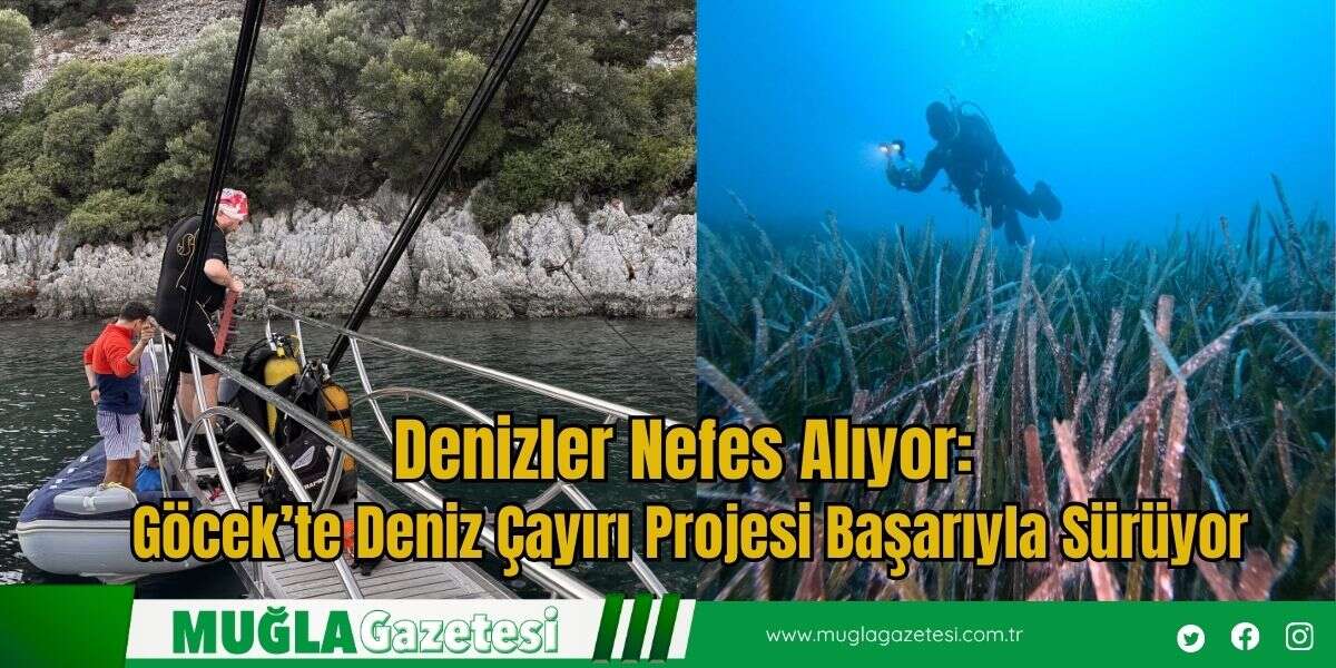 Denizler Nefes Alıyor: Göcek’te Deniz Çayırı Projesi Başarıyla Sürüyor