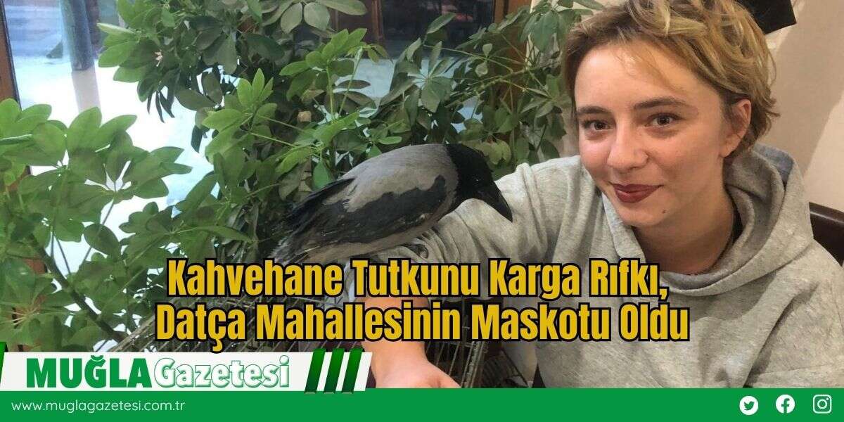 Kahvehane Tutkunu Karga Rıfkı, Datça Mahallesinin Maskotu Oldu